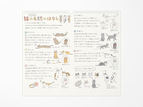 Midori Wall Calendar 2027 - Cat