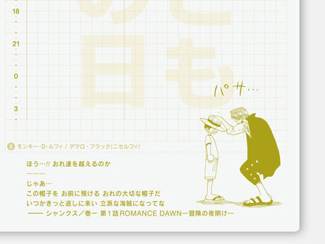 OCT Hobonichi Techo 2027 Original Book A6 - ONE PIECE EDITION