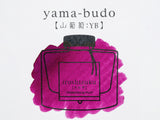 Pilot Iroshizuku Fountain Pen Ink Cartridges - Set of 6