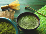 Sailor Pro Gear Fountain Pen - Japanese Tea Ceremony - Matcha