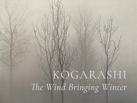 Sailor Pro Gear Slim Fountain Pen - Japanese Scenery - Kogarashi