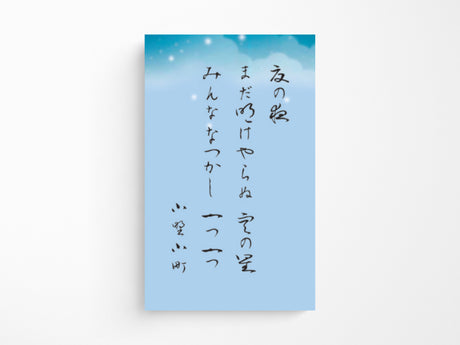 Sailor Pro Gear Slim Fountain Pen - Seasonal Waka Poetry - Summer