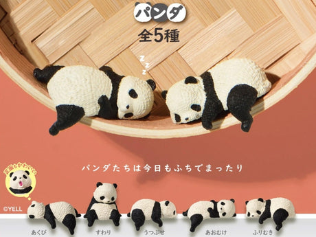 Sleepy Panda Blind Box