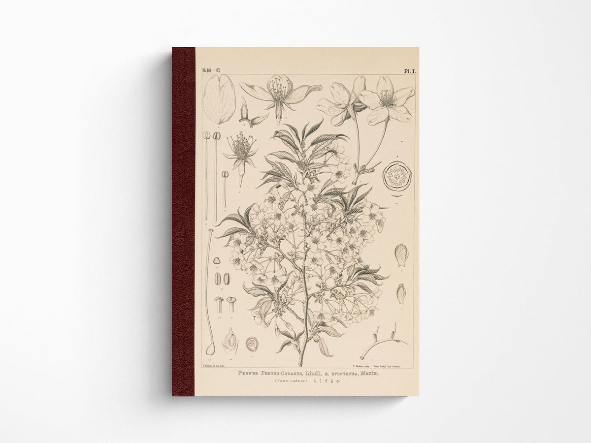 Tomitaro Makino: Hobonichi Graph Notebook A5 - Yamazakura