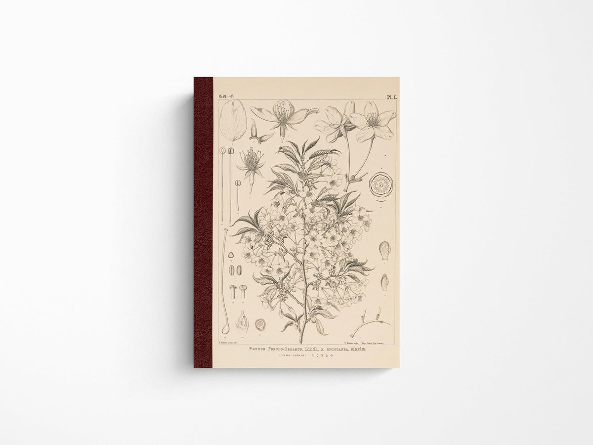 Tomitaro Makino: Hobonichi Graph Notebook A6 - Yamazakura