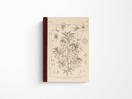 Tomitaro Makino: Hobonichi Graph Notebook A6 - Yamazakura