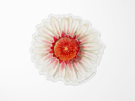Victoria Water Lily Vinyl Sticker