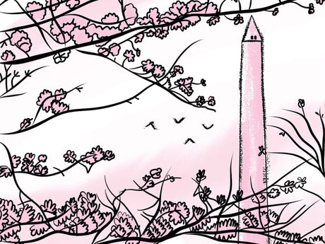 Washington DC Field Guide