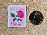 Washington DC National Flower - American Beauty Rose Vinyl Sticker