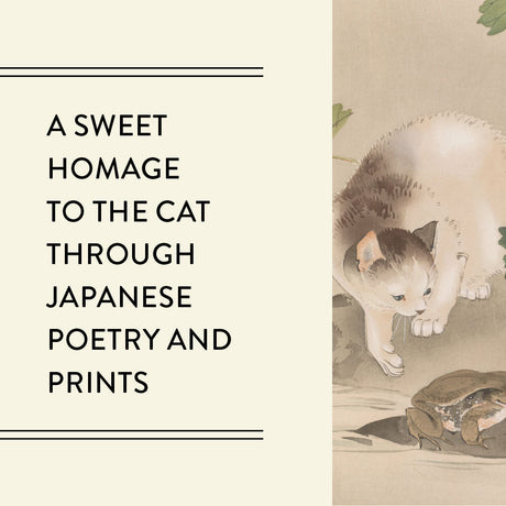 Cats in Spring Rain Journal