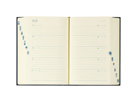 Midori Ten Years Diary