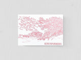 Albertine Press DC Postcard