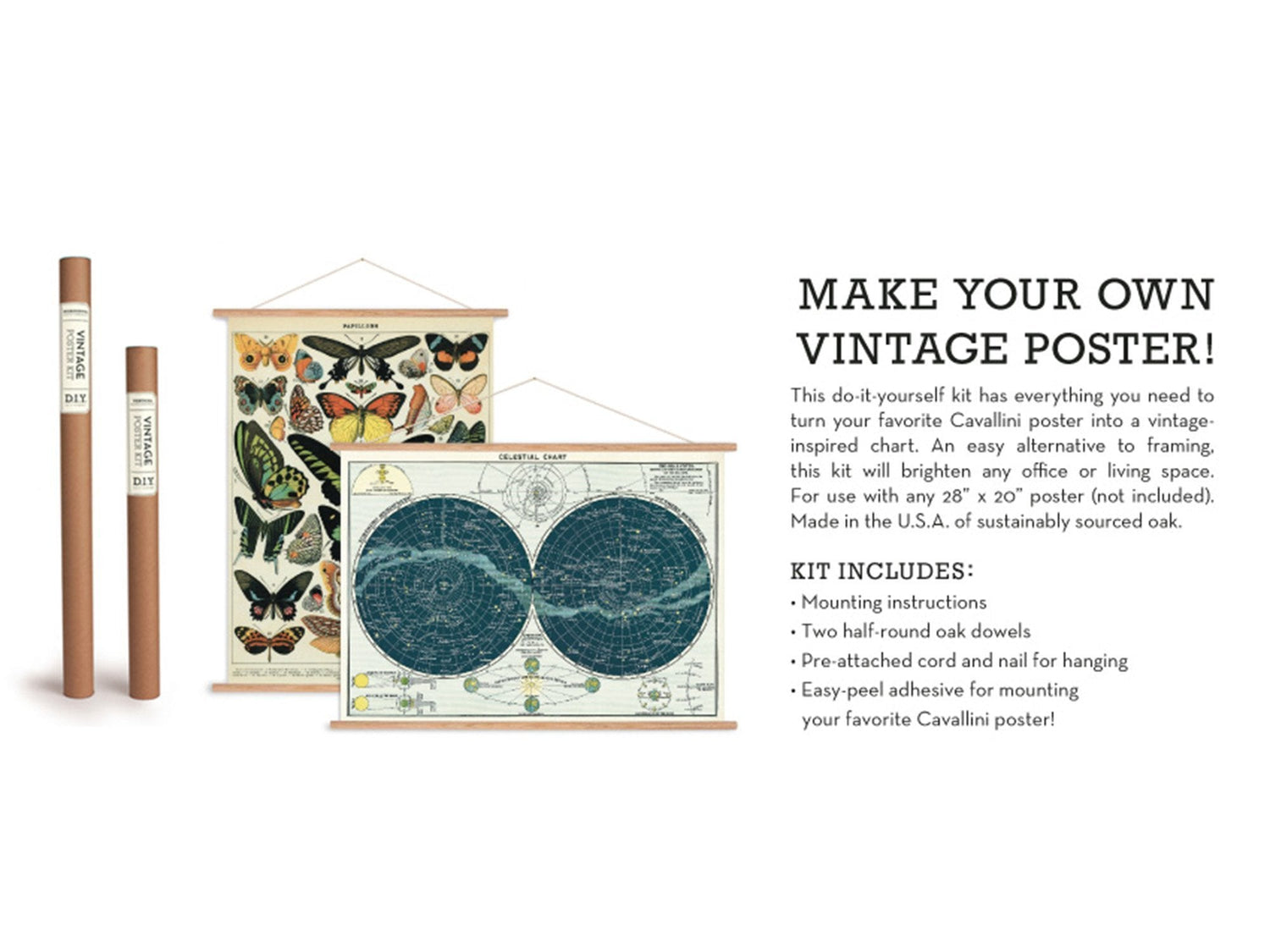 Cavallini Vintage Poster Kit