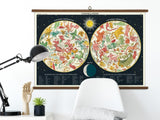 Cavallini Vintage School Chart - Constellations