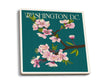 Coaster Washington DC Cherry Blossoms Blue